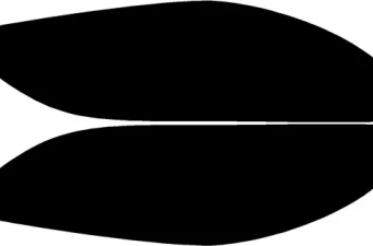 Body | Aero Parts