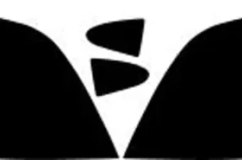 Body | Aero Parts