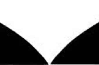 Body | Aero Parts