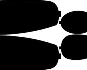 Lamin-X Protective Film Headlight and Foglight Covers Lexus SC 1997-2000