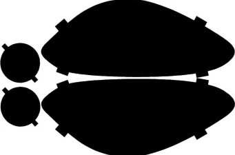 Body | Aero Parts