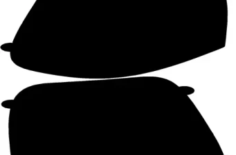 Body | Paint Protection