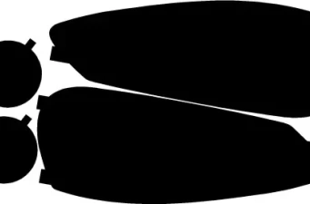 Body | Aero Parts