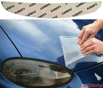 Lamin-X BMW M4 2014-2020 Invisible Bug Guard - B1451