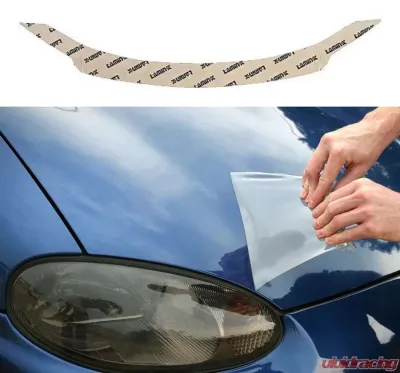 Lamin-X Dodge Grand Caravan 2011-2017 Invisible Bug Guard - D1425