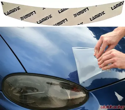 Lamin-X Fiat 500L 2015-2018 Invisible Bug Guard - FT1403