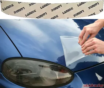 Lamin-X Nissan Sentra 2010-2012 Invisible Bug Guard - N2420