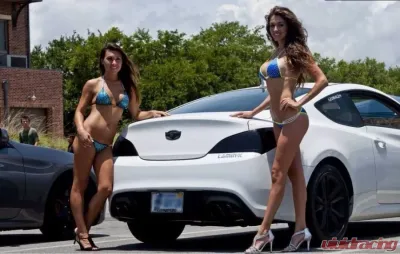 Lamin-X Two 12" x 24" Charcoal Universal Film Covers - 2-1224C