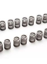 Tomei Oval Wire Valve Spring Set Nissan 13 | 14 240SX 1989-1998                                     - TA304A-NS16A - Image 2