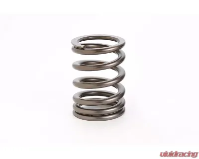 Tomei Oval Wire Valve Spring Set Nissan 13 | 14 240SX 1989-1998 - TA304A-NS16A