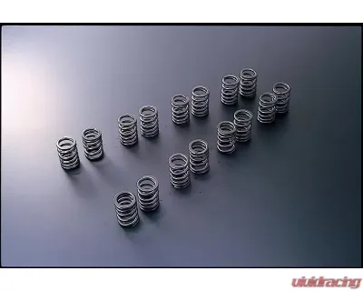 Tomei 4G63 Valve Springs Mitsubishi EVO1-9 4G63 1992-2007 - TA304A-MT01A