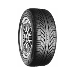 Pilot Sport A/S Plus