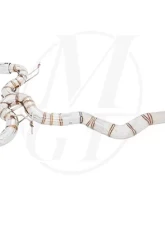 Meisterschaft Titanium Super GT Racing Exhaust 2x102 Tips BMW 4 Series 435i | 435xi F32 14-15                                     - BM2812403 - Image 4