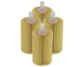 aFe Power Pro GUARD D2 Oil Filter (4 Pack) Toyota Tundra | Sequoia V8-4.6L/5.7L 2007-2013