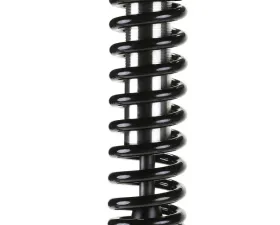 Fabtech 2.5Dlss C/O N/R 14 F150 4Wd 4