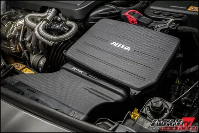 AMS Performance Alpha Carbon Fiber Performance Intake System - ALP.19.08.0004-1