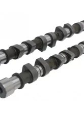 Kelford Camshaft Set 256/250 for Mazda Miata/323 B6 1985-2005, Performance Upgrade                                     - 203-A - Image 2