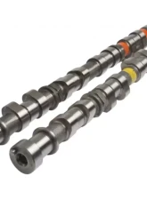 Kelford Camshaft Set 282/288 for Mitsubishi 4G63 EVO 4-7 1996-2003                                     - 4-SLX282 - Image 2