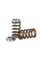 Kelford Valve Spring Set KVS01-24 for Toyota 1GR-FE Engine, High Performance Components                                     - KVS01-24 - Image 2