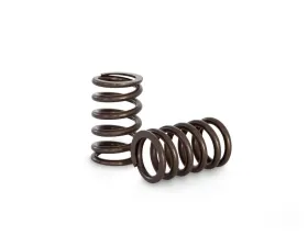Kelford Racing Valve Spring Set for Toyota 1FZ & TB48 - KVS04, High Performance, Steel