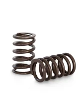 Kelford Racing Valve Spring Set for Toyota 1FZ & TB48 - KVS04, High Performance, Steel                                     - KVS04 - Image 2
