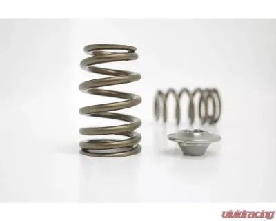 Kelford KVS10-BT Valve Spring & Titanium Retainer Set for Nissan SR20VE Engine - KVS10-BT