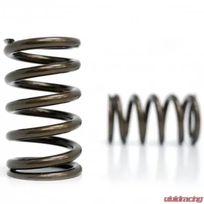 Kelford Valve Spring Set for Toyota 1JZ Engine - High Performance, Durable Material - KVS109-1JZ