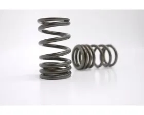 Kelford KVS14 Valve Spring Set for Nissan A Series Engine, High Performance, Steel
