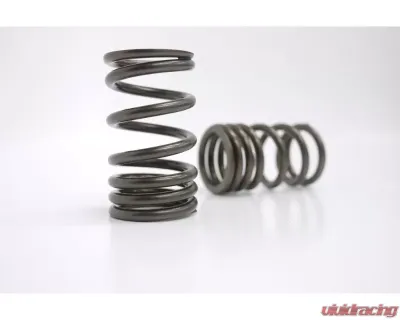 Kelford KVS14 Valve Spring Set for Nissan A Series Engine, High Performance, Steel - KVS14