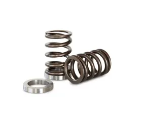 Kelford KVS16 Valve Spring Set & Base for Nissan CA18 - Performance Upgrade