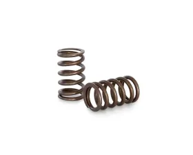 Kelford Racing Valve Spring Set for Toyota 1UZ-FE Engine, High Performance, Durable Material