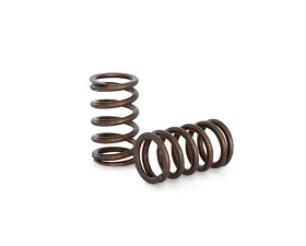 Kelford Race Spring Set for Nissan RB20, KVS20, High-Performance Valve Springs