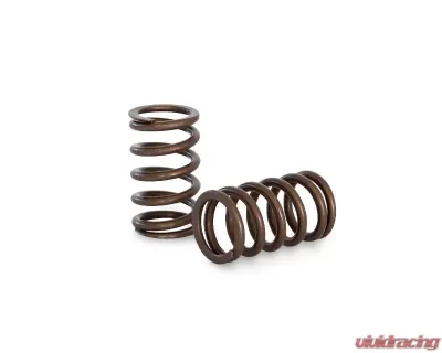 Kelford Race Spring Set for Nissan RB20, KVS20, High-Performance Valve Springs - KVS20