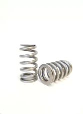 Kelford KVS252 Valve Spring Set for Ford Gen 1 3.5L V6 Engine                                     - KVS252 - Image 2