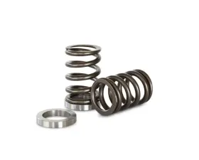 Kelford Valve Spring Set Subaru Outback 2002-2009
