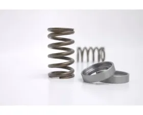 Kelford KVS35 Valve Spring Set for Nissan VQ35 Engine, High Performance, Durable Material