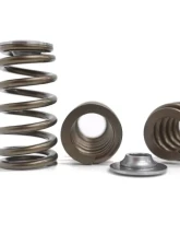 Kelford Race Valve Spring & Retainer Kit for Ford BA-FG Turbo 6, KVS40-K                                     - KVS40-K - Image 2