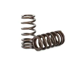 Kelford Race Valve Spring Kit KVS40 for Ford BA Turbo 6 Cylinder Engine