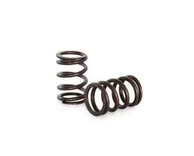 Kelford KVS401 Valve Spring Kit for Formula Ford 105E-116E, High Performance Components