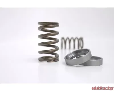 Kelford KVS56 Valve Spring Set for Nissan VK56 Engine, High-Performance, Durable Material - KVS56