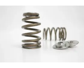 Kelford Valve Spring & Titanium Retainer Set for Honda K20A2, KVS79-K, Lightweight Performance