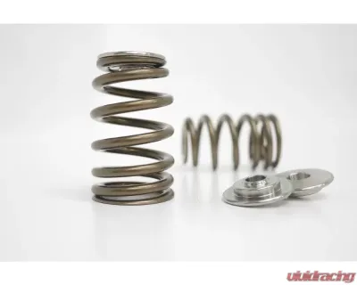 Kelford Valve Spring & Titanium Retainer Set for Honda K20A2, KVS79-K, Lightweight Performance - KVS79-K
