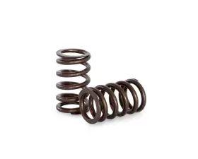 Kelford KVS93 Valve Spring Set for Nissan SR20DET, High-Performance, Durable Material