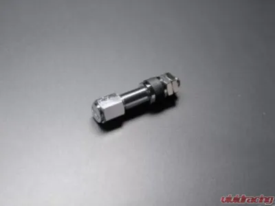 SSR SVI-2 Valve Stem w/ SSR Valve Stem Cap - Each - PARTS009