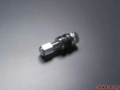 SSR SVI-3 Valve Stem w/ SSR Valve Stem Cap - Each - PARTS010