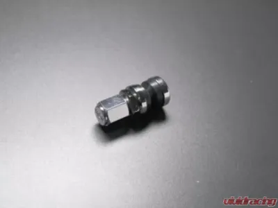 SSR SVO-2 Valve Stem w/ SSR Valve Stem Cap - Each - PARTS012