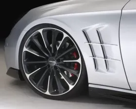 Wald International Black Bison Fender Set Mercedes-Benz CLS63 04-07