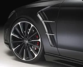 Wald International Black Bison Fender Set Mercedes-Benz CLS 11+