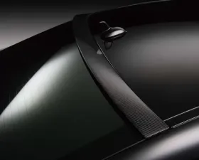 Wald International Black Bison Carbon Roof Spoiler Mercedes-Benz CLS 11+