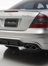 Wald International Black Bison Rear Bumper Mercedes-Benz E-Class 03-09                                     - W211.BB.RB.03 - Image 3